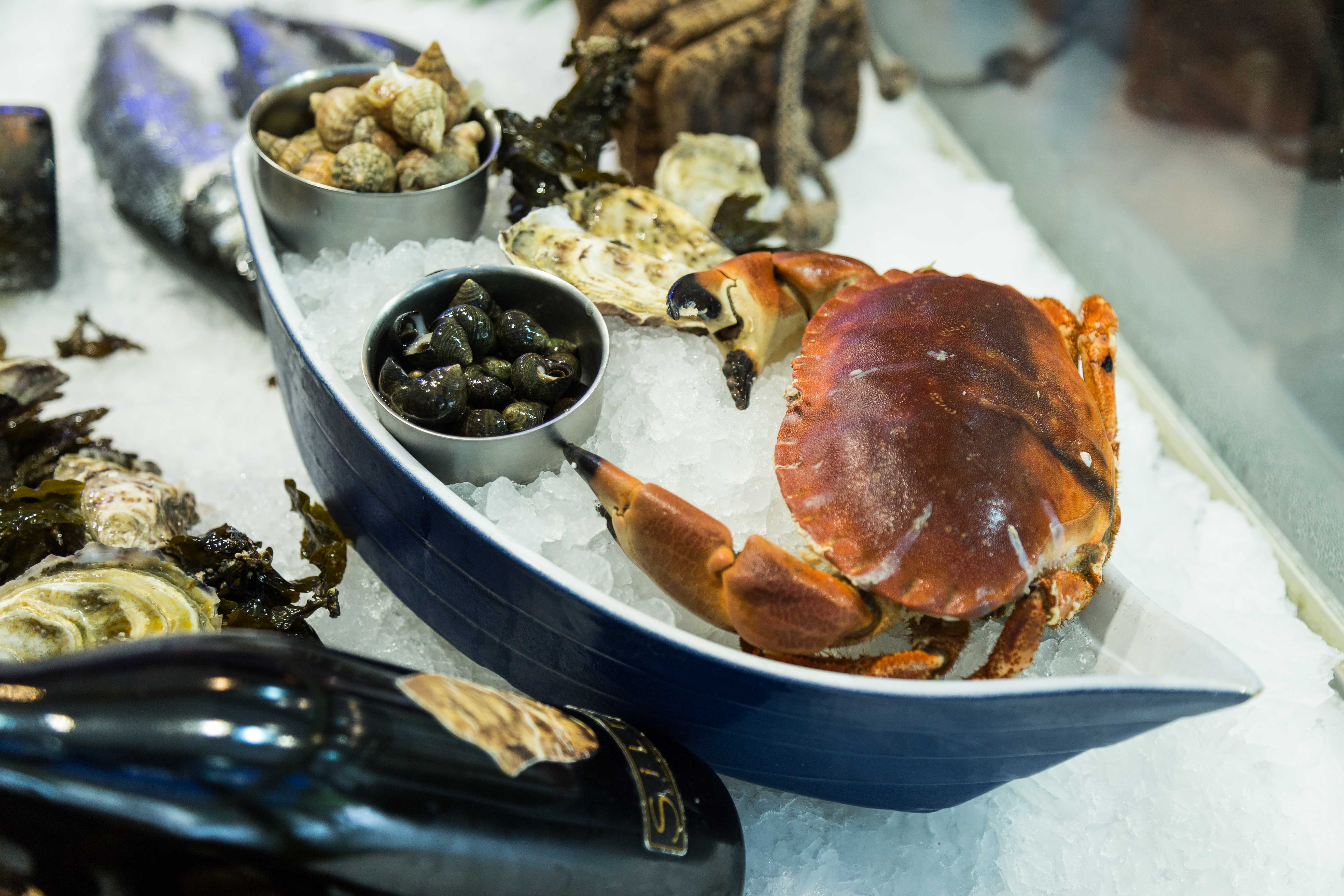 crabe